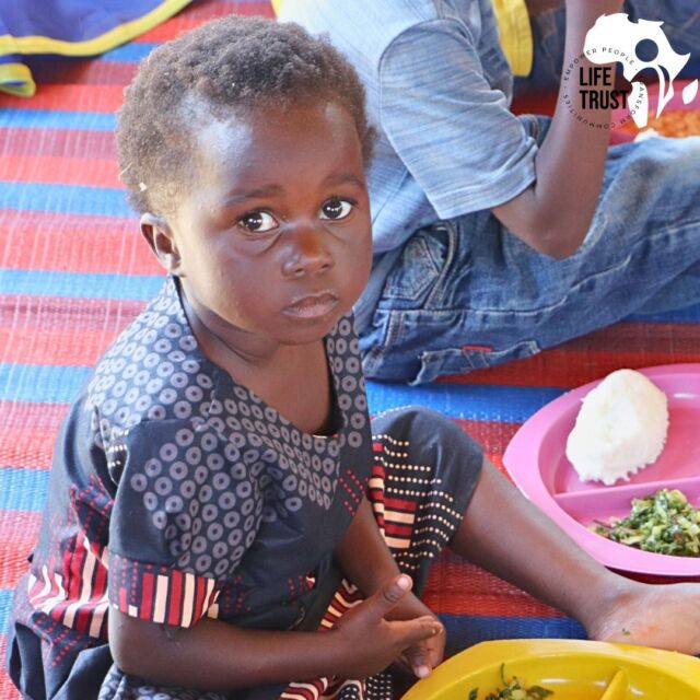 Aktuell erleben wir in Sambia die stärkste Dürre des Jahrzehnts 🌾

Die Auswirkungen der aktuellen Dürre durch das El Niño-Phänomen spüren bereits Millionen Menschen im südlichen Afrika. Familien in Sambia und diversen Nachbarländern sehen sich mit Ernteeinbußen und Wassermangel konfrontiert, was zu ernsthaften Herausforderungen für die Nahrungsversorgung führt.

Gerade die Kleinsten der Gesellschaft leiden besonders unter den drohenden Konsequenzen. Deshalb sind unsere Patenschaften als Unterstützung der Familien und dem täglichen Mittagessen besonders wertvoll. 

#LifeTrustSambia #GemeinsamStark #DroughtRelief #HopeForAfrica #TogetherWeCan #hungersnot #dürre #energiekriese